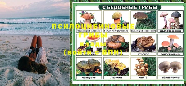 ГАЛЛЮЦИНОГЕННЫЕ ГРИБЫ Баксан